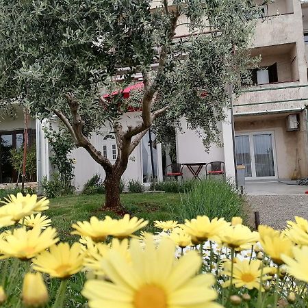 Leona Apartment Vidikovac, Pula Exterior foto