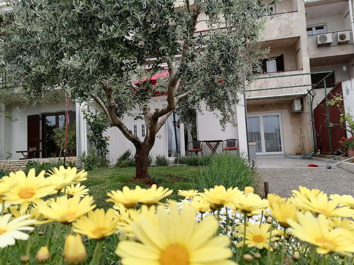 Leona Apartment Vidikovac, Pula Exterior foto