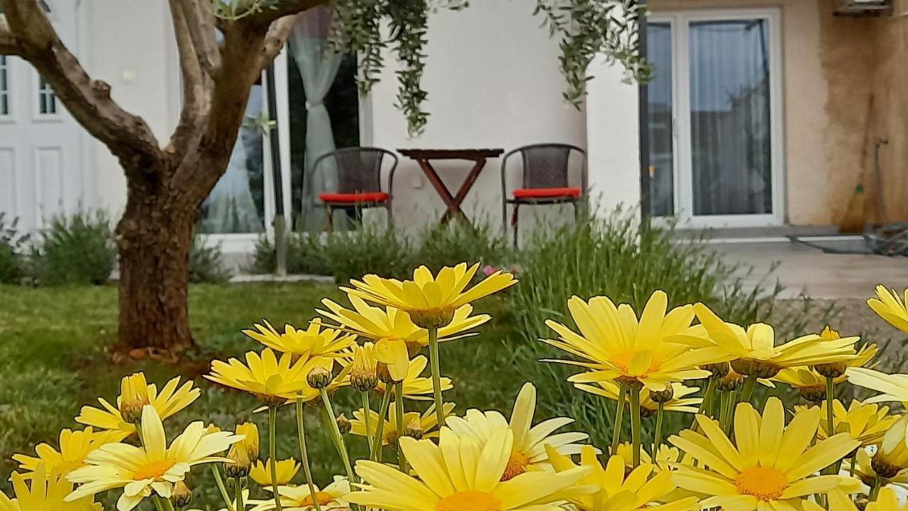 Leona Apartment Vidikovac, Pula Exterior foto
